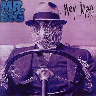 Release cover