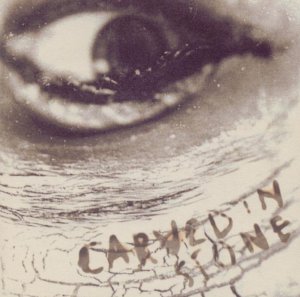 Release cover