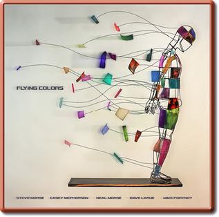 Release cover