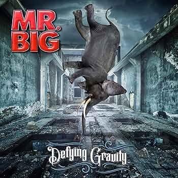Release cover