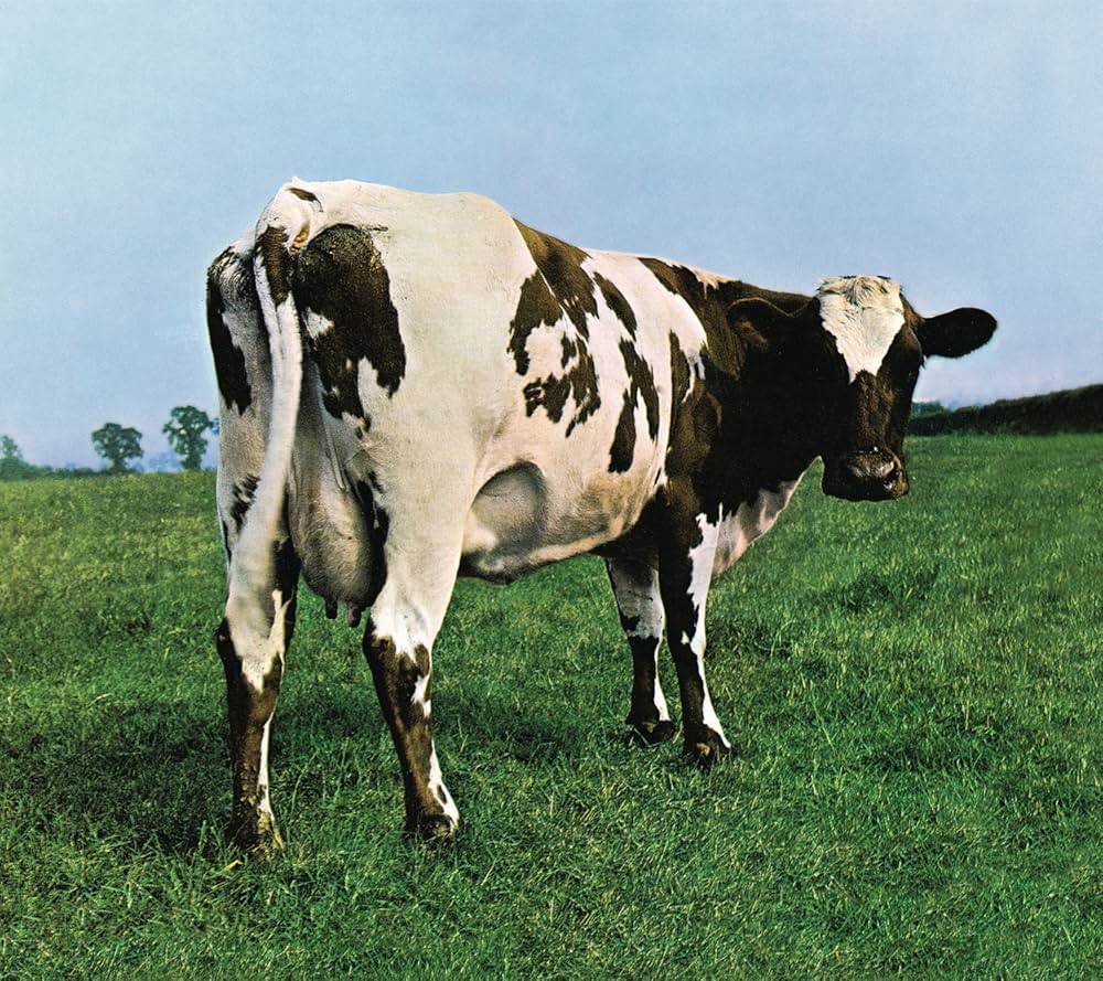 Release cover