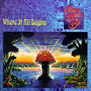 Release cover