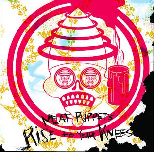 Release cover