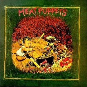 Release cover