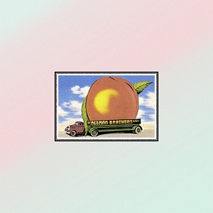 Release cover