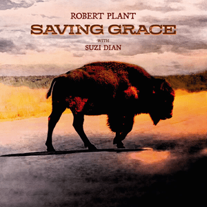 Release cover