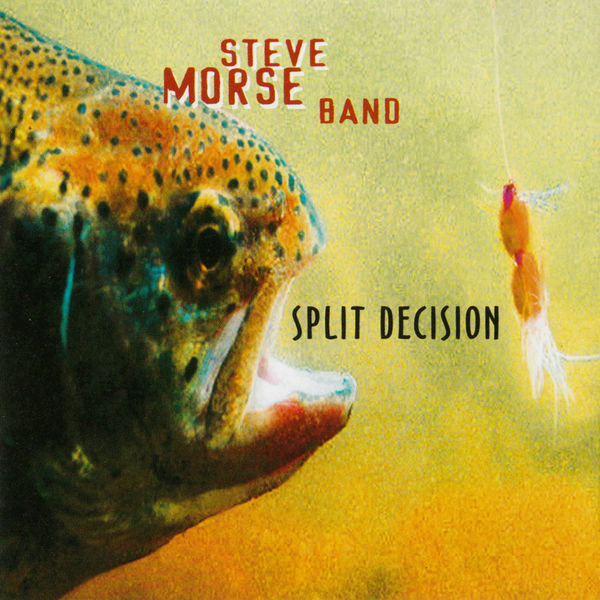 Release cover